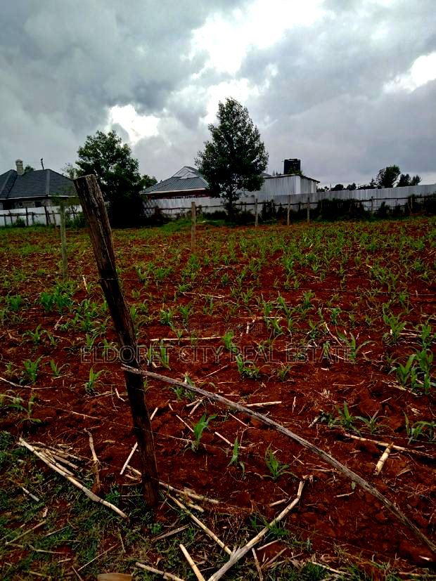 1/8 Plot Outspan Near Tarmac With Title