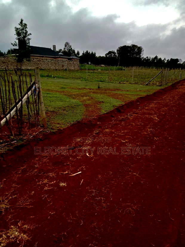 1/8 Plot Outspan Near Tarmac With Title
