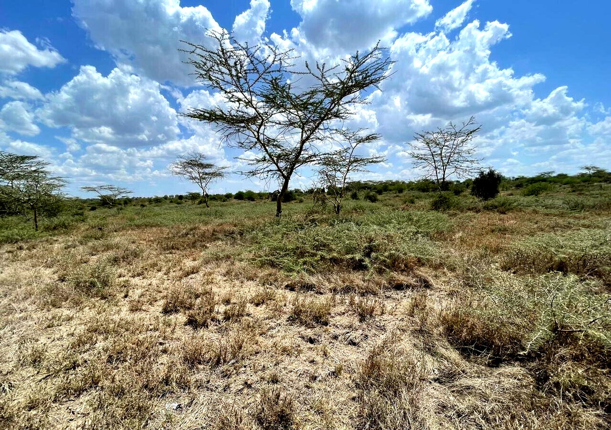 10-Acre Plot for KSh 45M