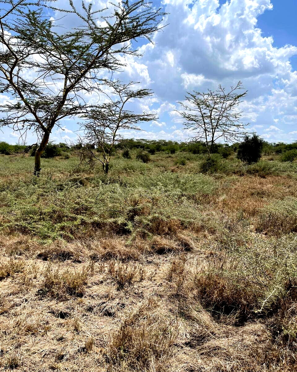 10-Acre Plot for KSh 45M