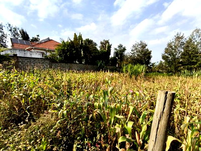 Residential Eighth Acre Plot on Sale in Ngong, Matasia Near Tarmac - Image 4