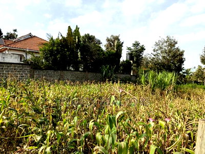 Residential Eighth Acre Plot on Sale in Ngong, Matasia Near Tarmac - Image 5