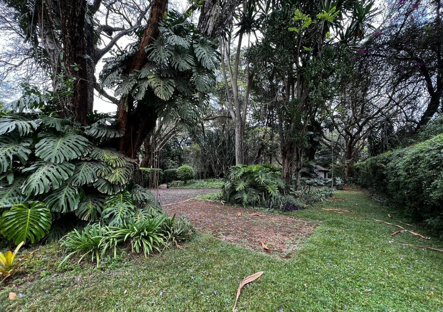 Garden Plot in Kilimani for KSh 310M
