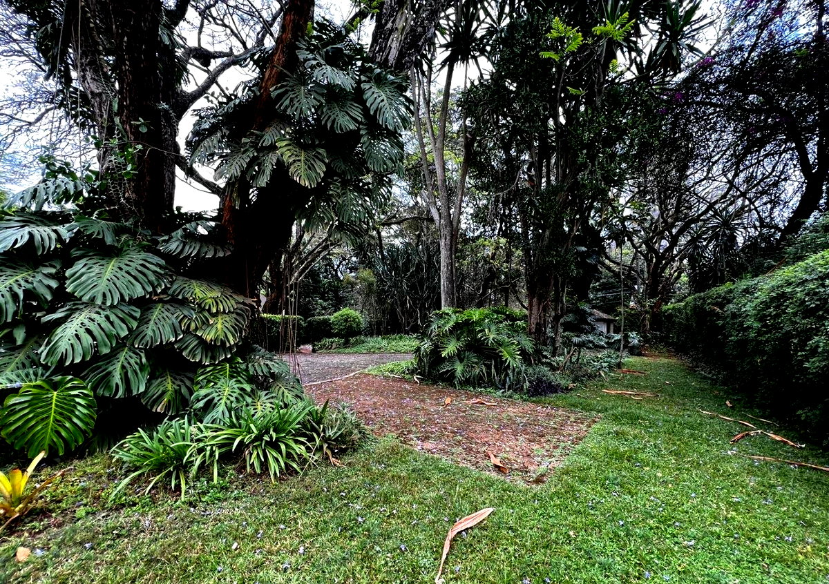 Garden Plot in Kilimani for KSh 310M
