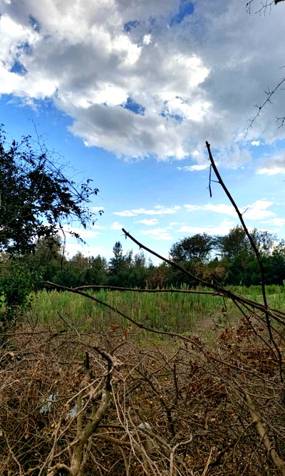 Quarter Acre Plot with Garden at KSh 6.5M