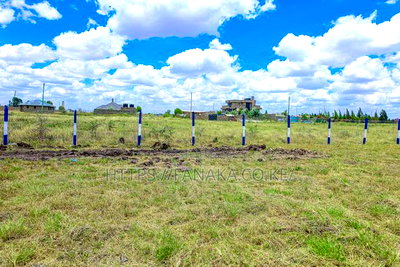 Cheap Katani Plots - Image 4
