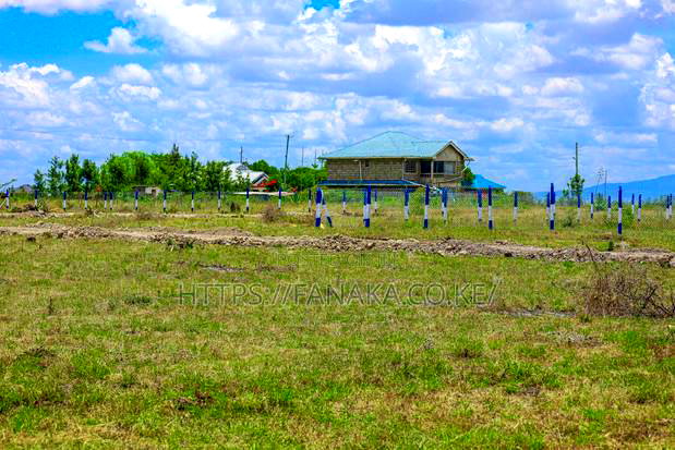 Cheap Katani Plots
