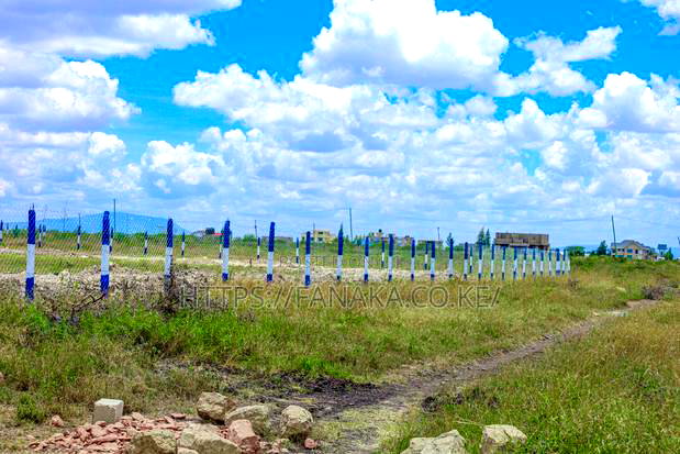 Cheap Katani Plots