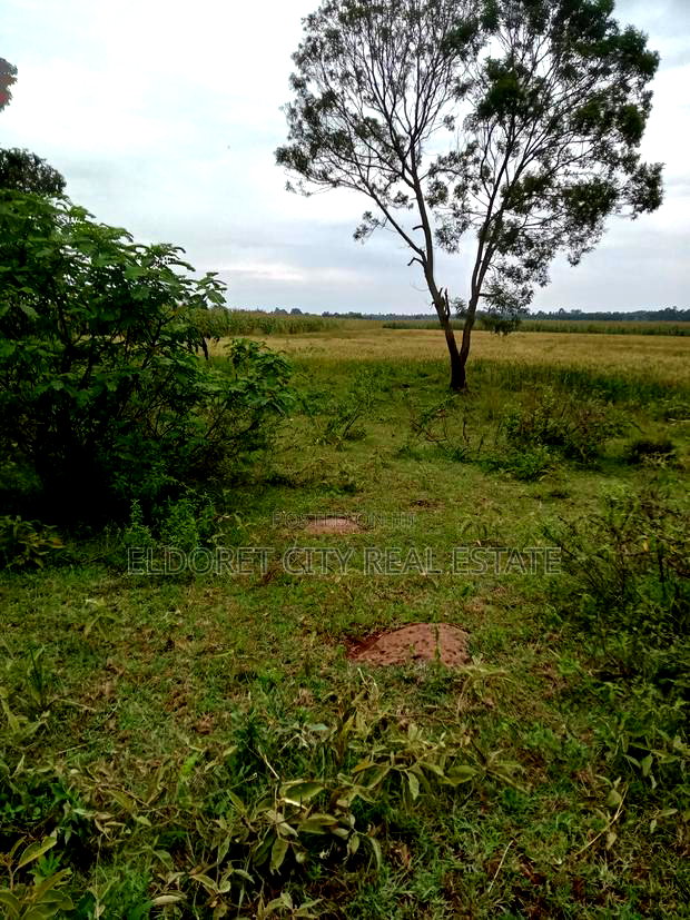 2 Acres Chepkanga 5km Inside With Title