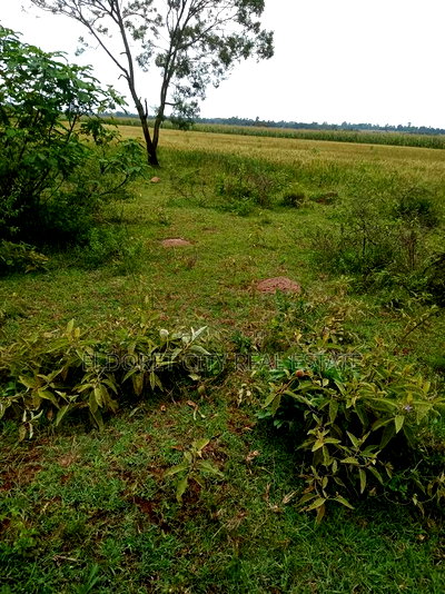 2 Acres Chepkanga 5km Inside With Title - Image 2