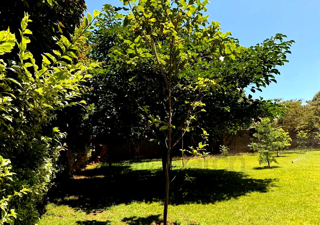 4-Ensuite Townhouse with Home Office & DSQ – Karen Gated Community