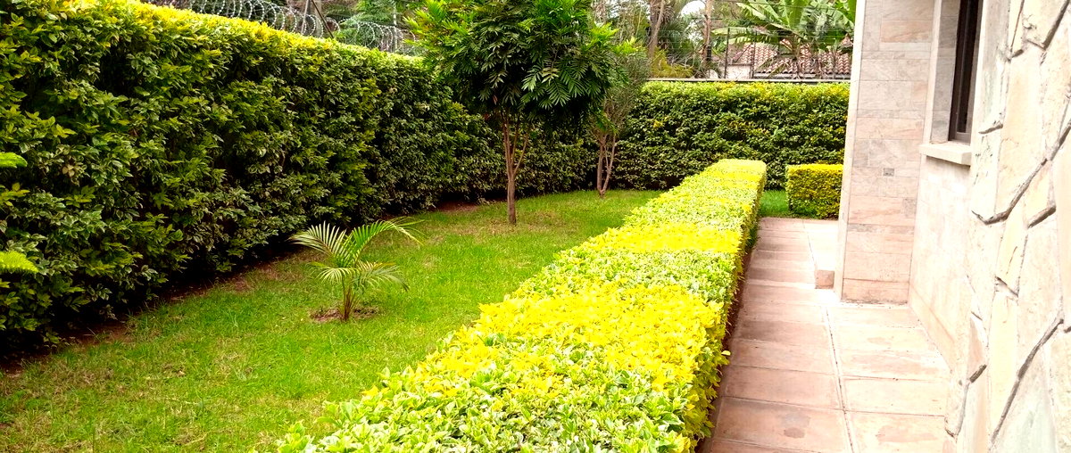5-Ensuite Townhouse with Rooftop Terrace & Solar Panels - Lavington
