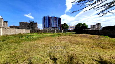 Nanyuki Town Commercial Plots - Image 3