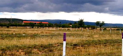 Get Good Views by Owning Land in Naivasha , Only - Image 4