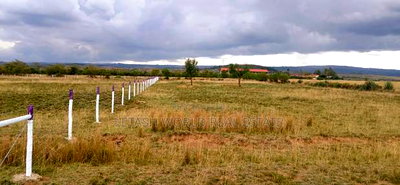 Get Good Views by Owning Land in Naivasha , Only - Image 3