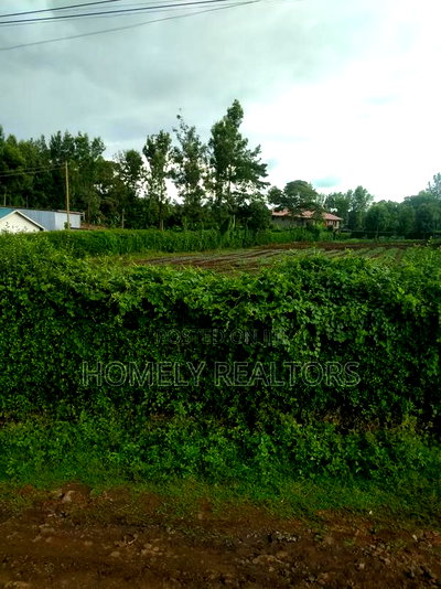 Quarter Acre Plot in Ngong, Bondeni, Touching the Main Rd - Image 4