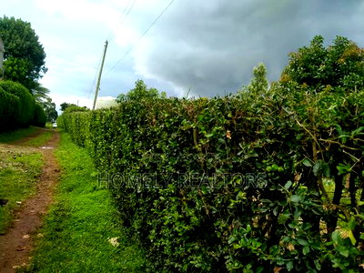 Quarter Acre Plot in Ngong, Bondeni, Touching the Main Rd - Image 2