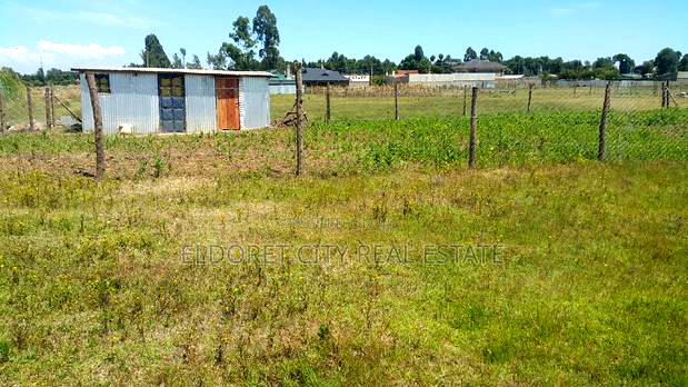 1/8 Plot Kimumu Cheparus With Title