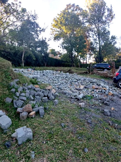 Quarter Acre Kibiku - Image 2