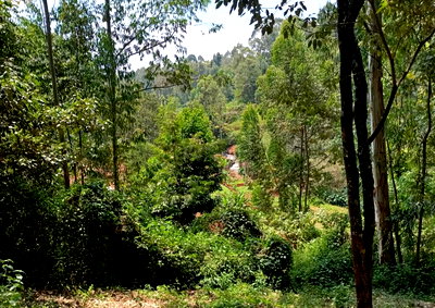 0.42 Acre Plot in Gathiga