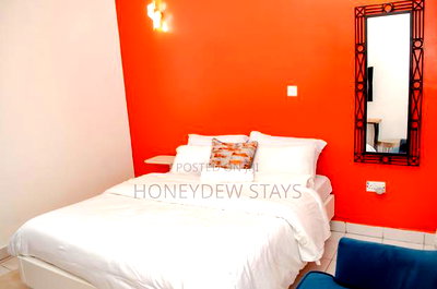 Furnished 1bdrm Apartment in Riovista Near, Mlolongo for rent - Image 6