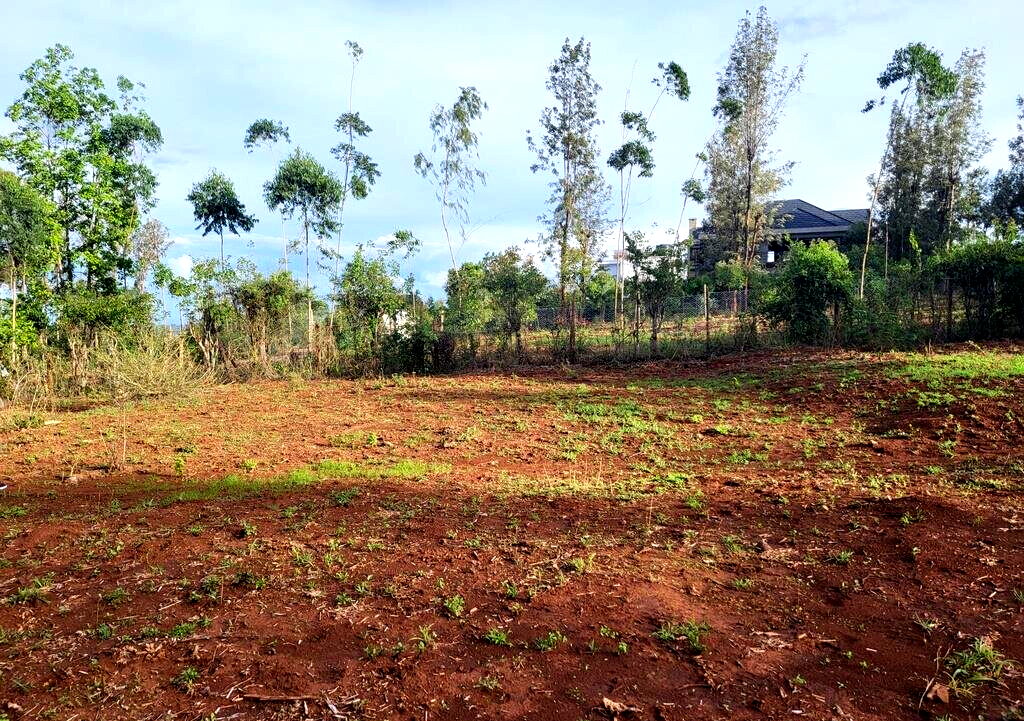 1/8 Acre Kerarapon Plot