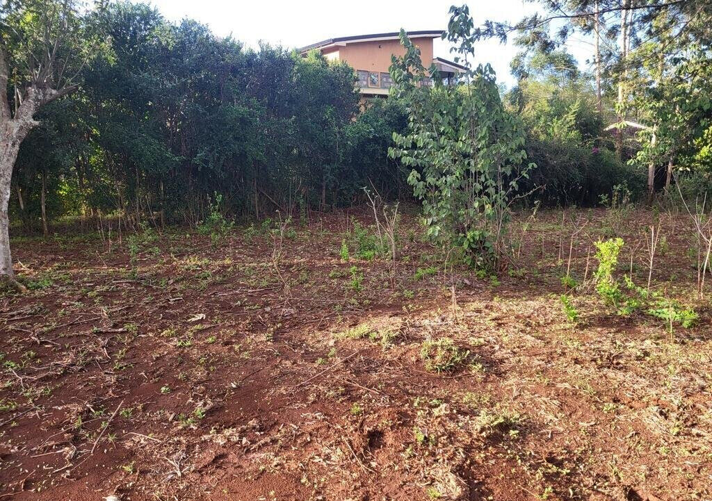 1/8 Acre Kerarapon Plot