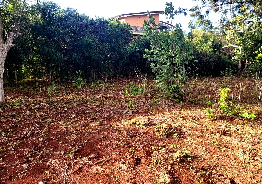 1/8 Acre Kerarapon Plot