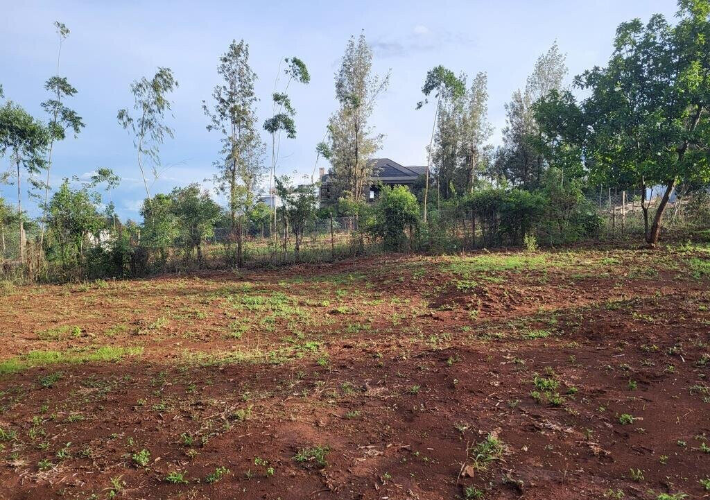 1/8 Acre Kerarapon Plot