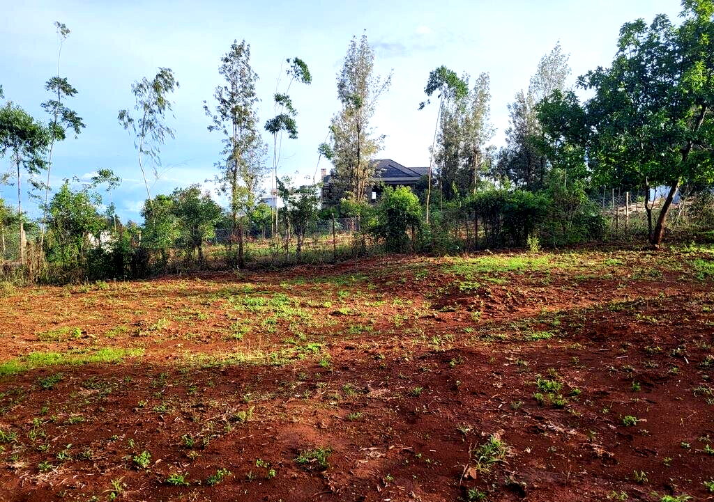 1/8 Acre Kerarapon Plot