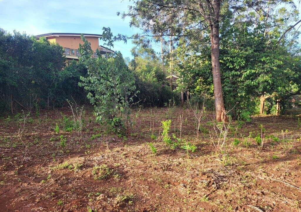 1/8 Acre Kerarapon Plot