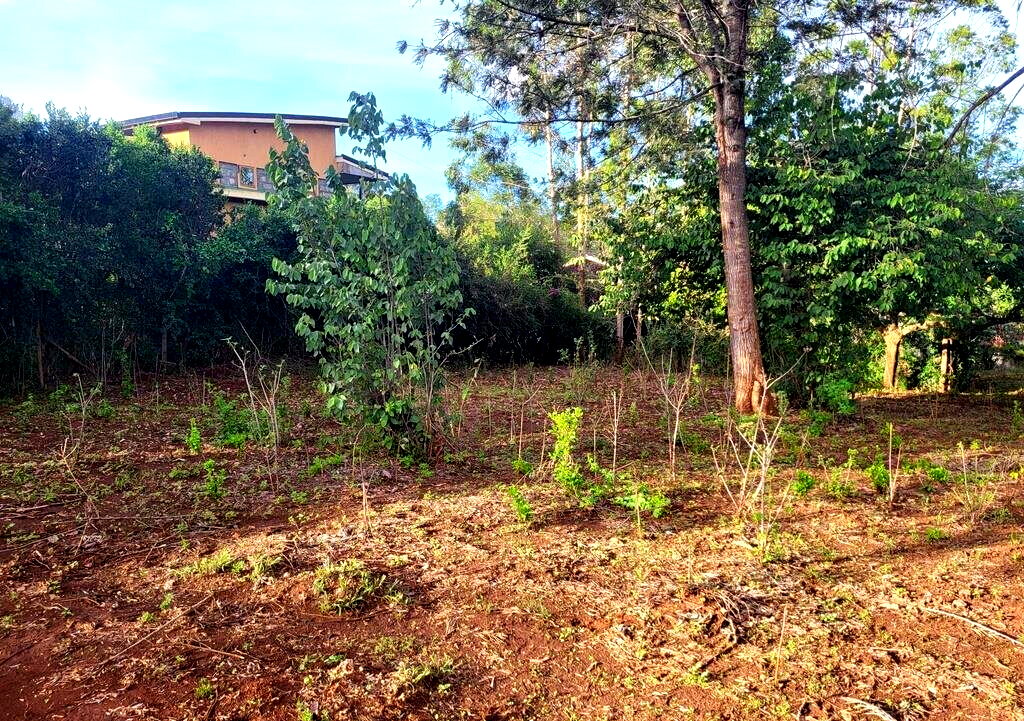 1/8 Acre Kerarapon Plot