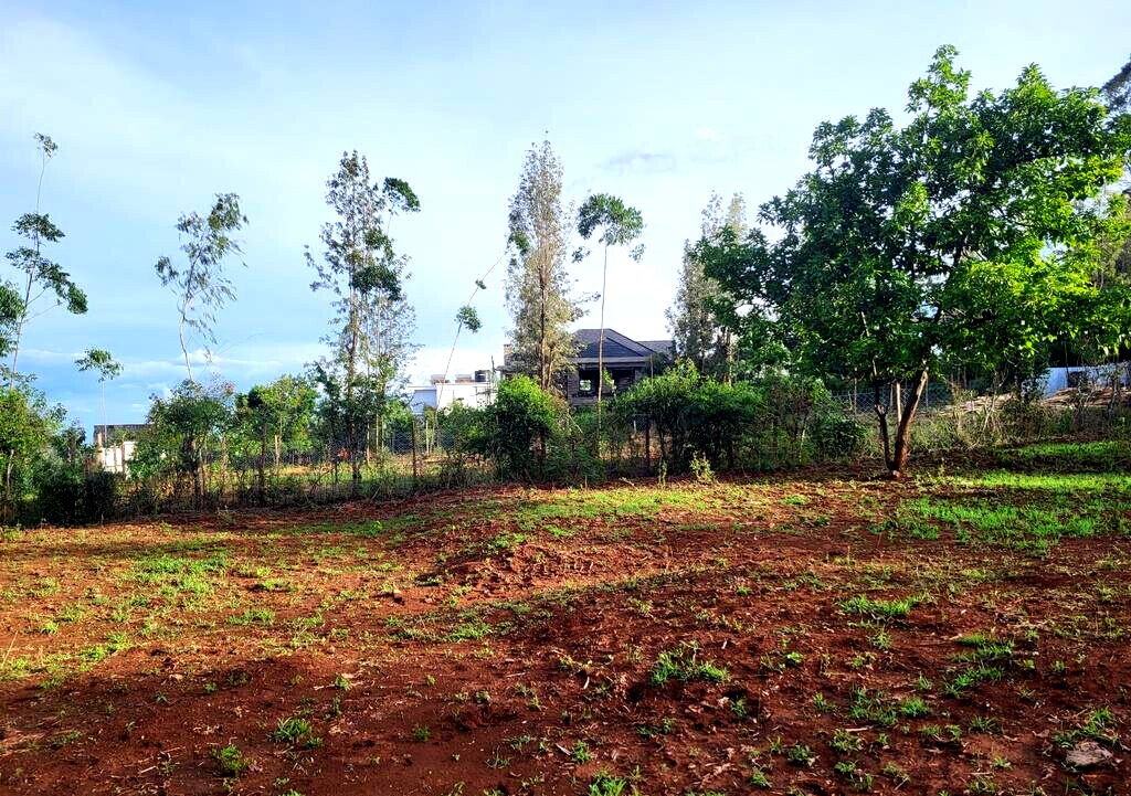 1/8 Acre Kerarapon Plot