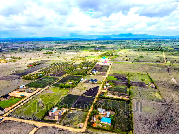 Buy and Build in Koma