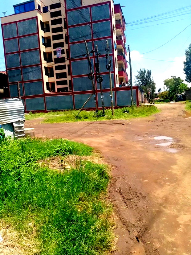 Ruiru Kamakis 50 By 100 Commercial Plot