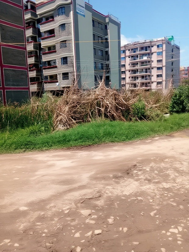 Ruiru Kamakis 50 By 100 Commercial Plot