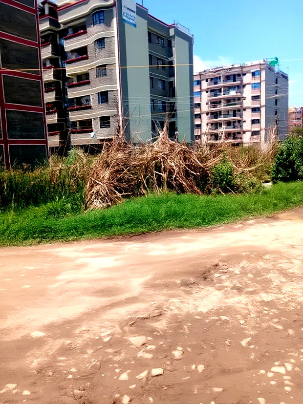 Ruiru Kamakis 50 By 100 Commercial Plot