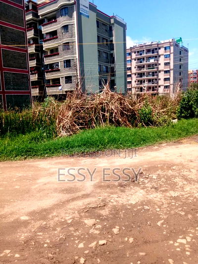 Ruiru Kamakis 50 By 100 Commercial Plot - Image 2