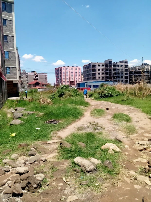 Ruiru Kamakis 50 By 100 Commercial Plot