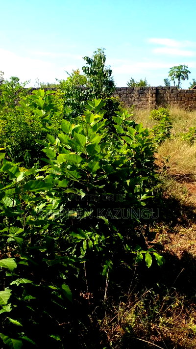 1/4 Acre Plot on Beach 3 Row, in Galu Beach - Image 5