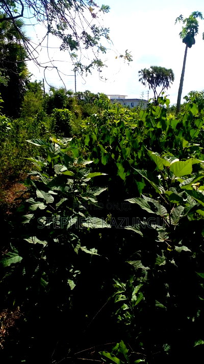 1/4 Acre Plot on Beach 3 Row, in Galu Beach - Image 2