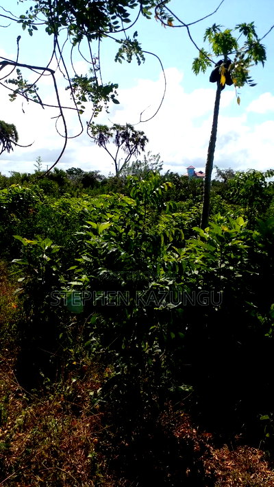 1/4 Acre Plot on Beach 3 Row, in Galu Beach - Image 6