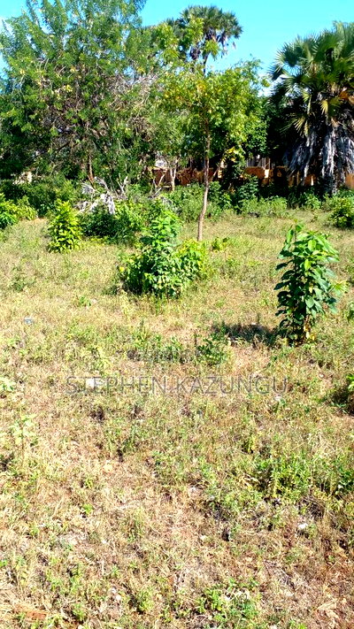1/4 Acre Plot on Beach 3 Row, in Galu Beach - Image 4
