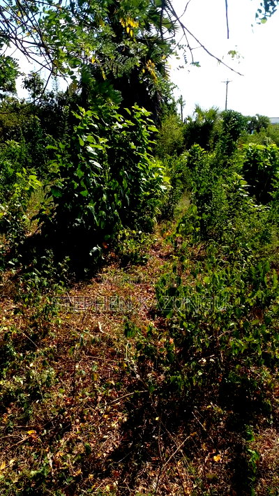 1/4 Acre Plot on Beach 3 Row, in Galu Beach - Image 7