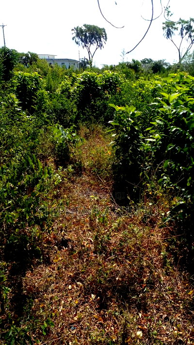 1/4 Acre Plot on Beach 3 Row, in Galu Beach - Image 8