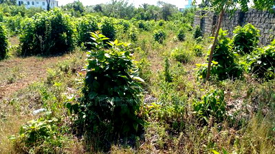 1/4 Acre Plot on Beach 3 Row, in Galu Beach - Image 13