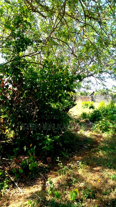 1/4 Acre Plot on Beach 3 Row, in Galu Beach - Image 3