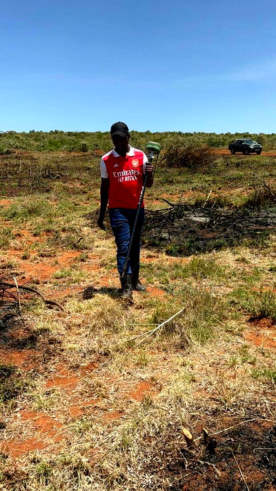 Hill Hills Gardens: A Peaceful Location for Your Future Home - Image 2