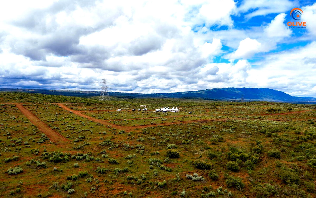 5-Acre Garden Plot with Parking - KSh 30M