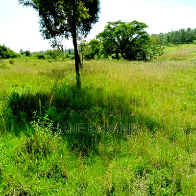 4acres Quick Sale Ngatho Muranga County Gatanga - Image 1